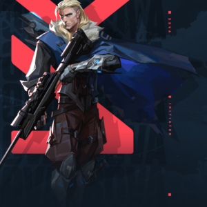 How to check valo purchase history