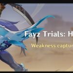 Fayz Trials event poster