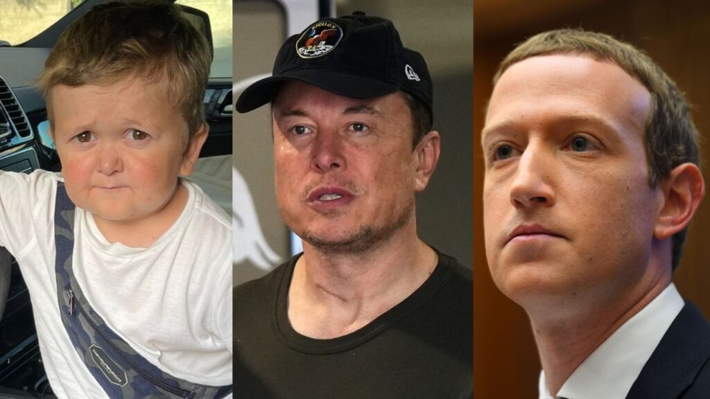 3ft UFC Star Chimes In to Help 6ft Tall Elon Musk in Fight Against Mark Zuckerberg Amidst Offer From Jon Jones, Andrew Tate, & More