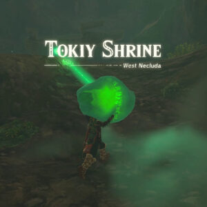 The Legend of Zelda: Tears of the Kingdom Tokiy Shrine