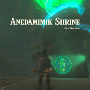 Zelda: Tears of the Kingdom Anedamimik Shrine