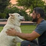 MS Dhoni Dogs: All We Know About MSD Dogs' Breed, Price, Name