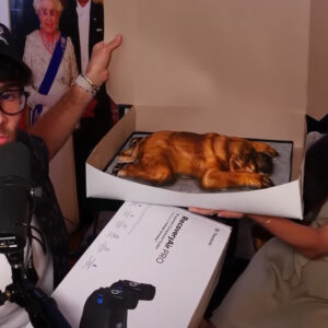 Valkyrae gave Kaya-themed cake to HasanAbi