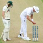 Cricket Bails Price: How Much Do Wooden Bails Cost?