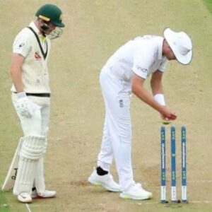 Cricket Bails Price: How Much Do Wooden Bails Cost?