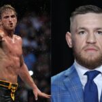 12 Days After $1,000,000 Challenge, Conor McGregor Labeled ‘Average MMA Fighter’ by Logan Paul