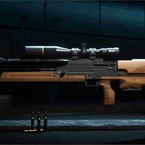 An Image of the Carrack .300 in Warzone 2