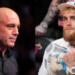 Joe Rogan Sides Ex-UFC Star as Jake Paul Offers $1,000,000+ to Fight Bradley Martyn: “He’ll Beat the Sh*t Out of…”