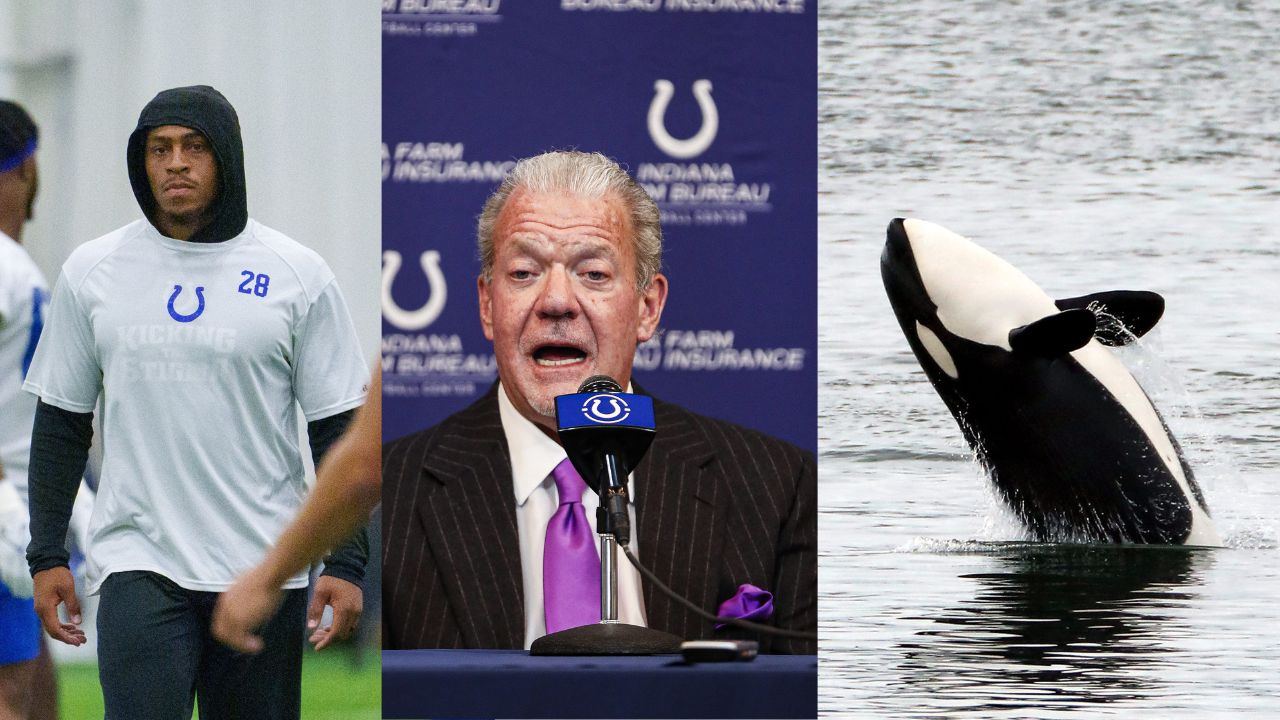 Amidst Jonathan Taylor Pay Drama, Jim Irsay Plans to Spend $20,000,000 on Transporting a Killer Whale