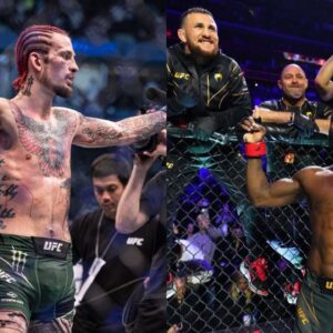 UFC 292: Sean O’Malley vs. Aljamain Sterling: Everything About Fighters’ Purse & Payouts