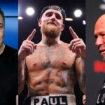 After $100,000,000 Offer Jake Paul Sides With Elon Musk to Dig at Dana White: “This Is How You…”