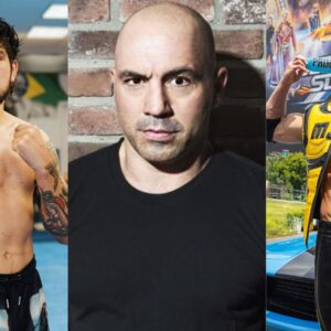 Joe Rogan reacts to the Logan Paul and Dillon Danis situation