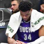 “Can’t Imagine If LeBron James or Stephen Curry…”: Giannis Antetokounmpo Clears the Air About 10-Month-Old ‘Infamous’ Ladder Incident