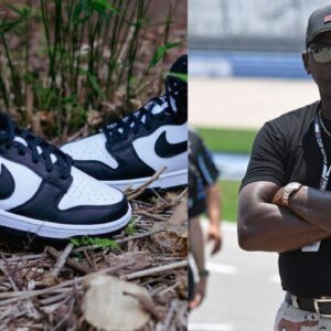 ‘Most hated’ Nike Dunks Beat Michael Jordan’s $5,200,000,000 Brand on Most Sought After Sneakers List on Ebay