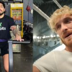 Logan Paul assures hitting Dillon Danis with multiple other lawsuits