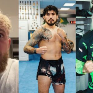 Dillon Danis states KSI and Jake Paul are fighting for the right to box him