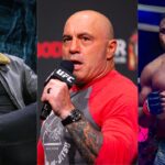 Joe Rogan, in Talks With Elon Musk, Demands ‘Serious Punishment’ for Judge Who Scored Against Francis Ngannou