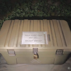 Alan Wake 2 - Rock Rock Tree puzzle