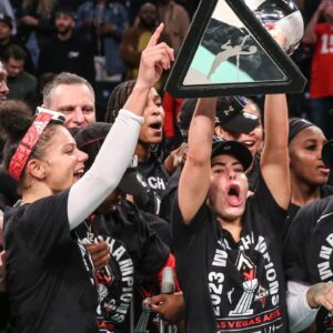 Is the WNBA Subsidized by the NBA?