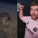 MrBeast might attract hate after closing his front door on a kangaroo