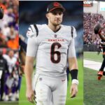 Jake Browning Proudly Calls Tee Higgins & Ja'Marr Chase Two Alphas After Fantastic Victory Against Vikings