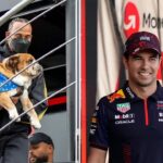 “Roscoe Doesn’t Travel That Far”: Sergio Perez Uses Lewis Hamilton’s Dog to Legitimize Max Verstappen’s Verdict on Pets