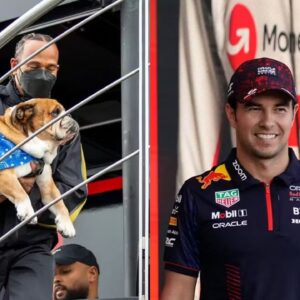 “Roscoe Doesn’t Travel That Far”: Sergio Perez Uses Lewis Hamilton’s Dog to Legitimize Max Verstappen’s Verdict on Pets