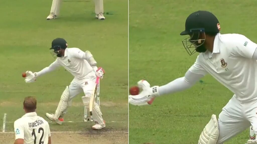 OBS Out In Cricket: How Many Batters Have Been Out Handling The Ball In Test Cricket?