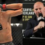 “Time Has Come”: UFC Legend, After Dana White, Urges Tony Ferguson to Retire After 7 Straight Losses