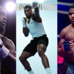 Fans Back Francis Ngannou To Fight Anthony Joshua After a Poor Performance From Deontay Wilder