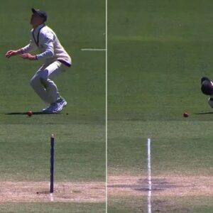"That Is Painful": Marnus Labuschagne Screams In Pain After Ball Hits Knee On Day 4