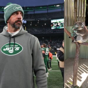 "Aaron Rodgers Got More Right on Covid Than All of Left Wing Sports Media," Says Clay Travis After Jets QB's Exit From the Pat McAfee Show