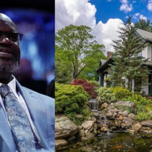 Shaquille O'Neal Explains How Dentists and Real Estate Agents with 100000 Sq Ft Homes Motivated Him to Branch Out His Passive Income