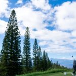 Where is the American Express Golf Tournament Played? From PGA Stars to Prize Money Everything You need to Know