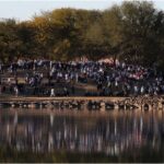 The American Express