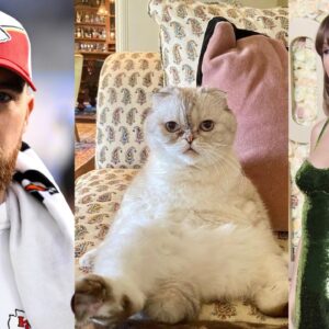 Despite 11 Years in NFL, Travis Kelce Falls $57 Million Behind Taylor Swift's Cat Olivia Benson in Net Worth