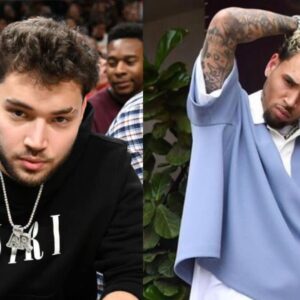 Adin Ross Chris Brown collaboration live stream