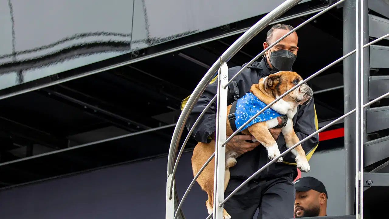 When Roscoe Got Labelled a ‘Rascal’ for Jumping on Lewis Hamilton’s Interview and Taking Away the Spotlight