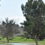 Buenaventura Golf Course