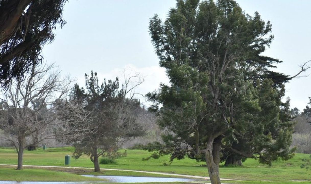 Buenaventura Golf Course