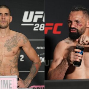 Are Michel Pereira and Alex Pereira Related?