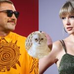 Does Travis Kelce Like Cats or Is Taylor Swift Up for the Ultimate Deal Breaker?