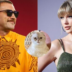 Does Travis Kelce Like Cats or Is Taylor Swift Up for the Ultimate Deal Breaker?