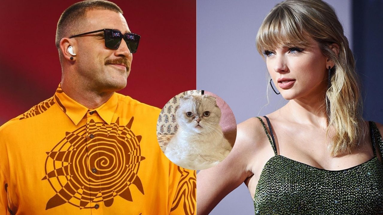 Does Travis Kelce Like Cats or Is Taylor Swift Up for the Ultimate Deal Breaker?
