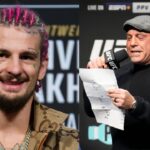 Sean O’Malley Turns to Joe Rogan for Help, Says UFC 306 Defeat Against Merab Was Unfair