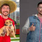 MrBeast helps 100 dogs get adopted