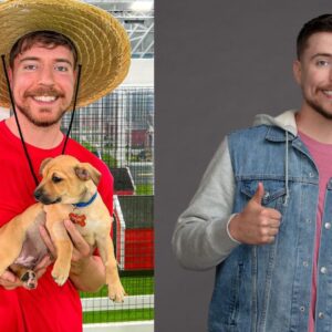 MrBeast helps 100 dogs get adopted