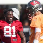 Antonio Brown and Tom Brady