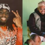 In the recent Kai Cenat stream, Druski ran for his life after seeing a frog and a parrot