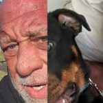 “A Hero”: UFC Legend Mark Coleman’s Dog Hammer Receives Heartfelt Support After Rescue Attempt Ends in Unfortunate Outcome